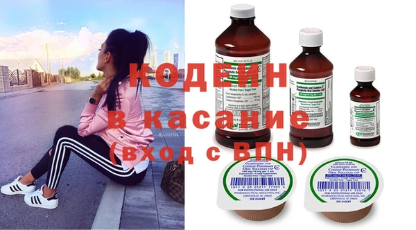 индика Усолье-Сибирское