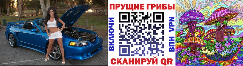Галлюциногенные грибы MAGIC MUSHROOMS  что такое   Орехово-Зуево 